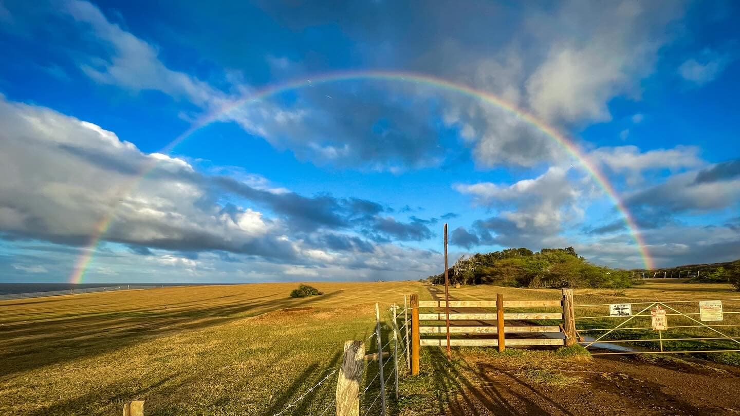 rainbow