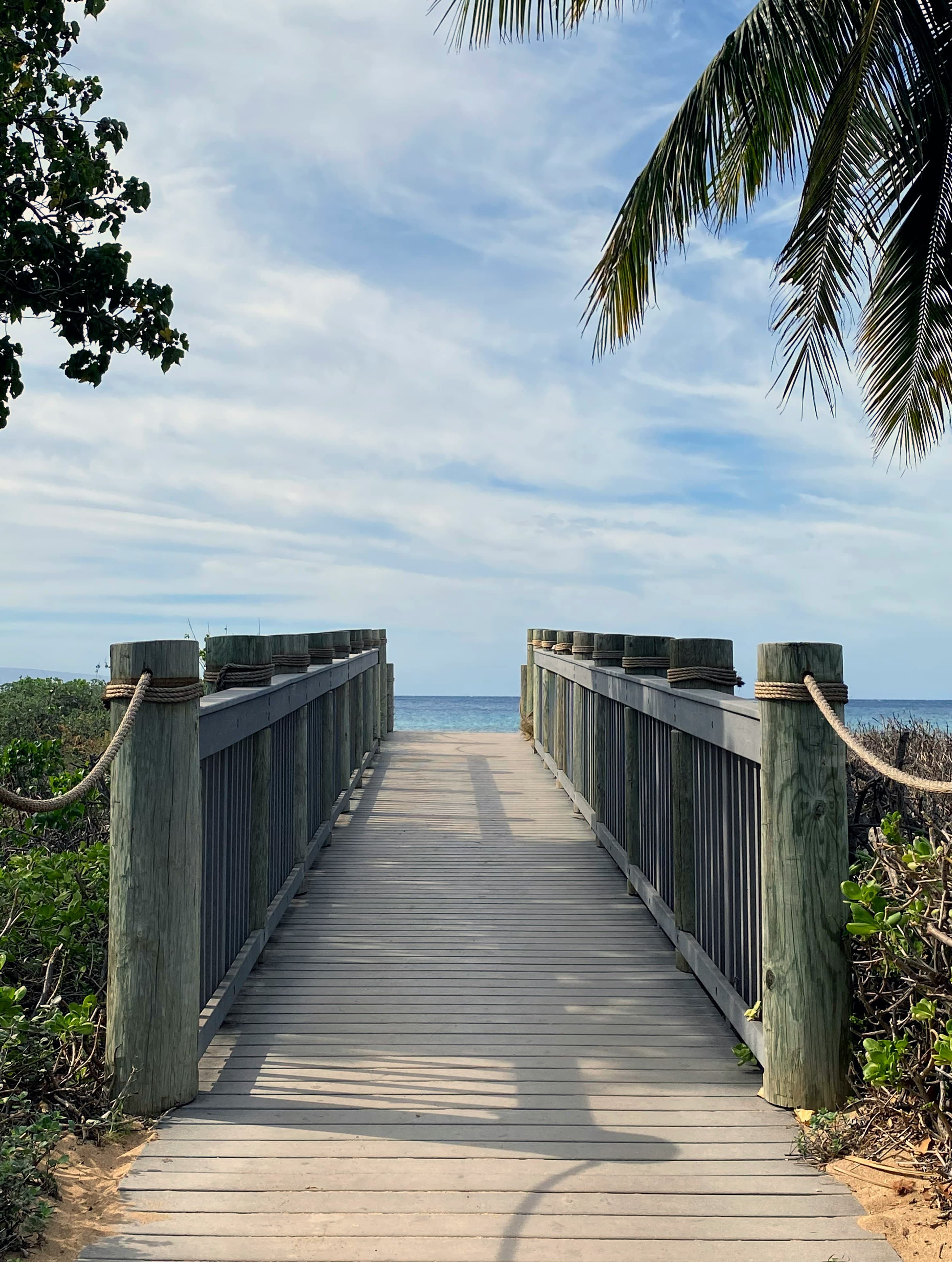 boardwalk